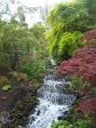 Stream babbling thru the Royal Botanical Gardens, Edinburgh