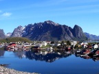  Yet another shot of Reine