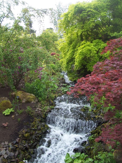 Stream babbling thru the Royal Botanical Gardens, Edinburgh