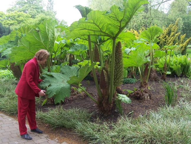 S checks out a huge flower's leaf