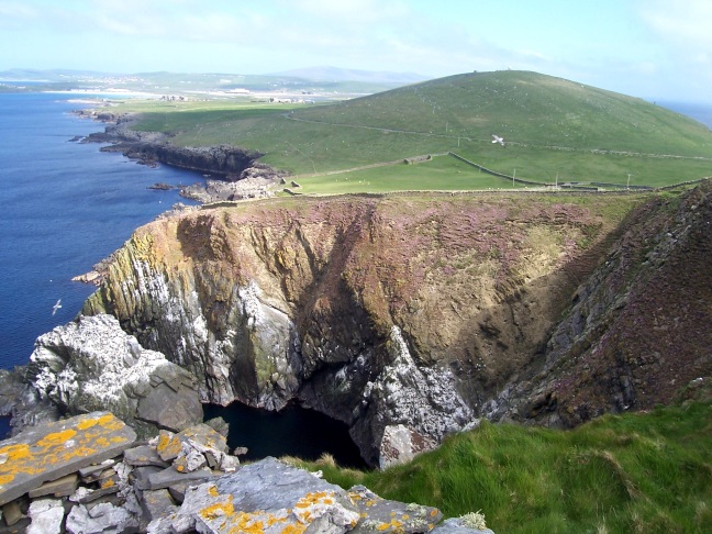 Sumburgh Head bird colonies near Lerwick, Shetland Islands