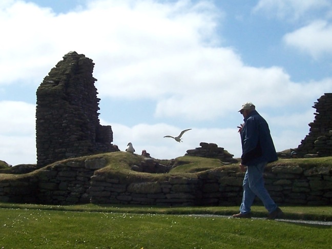 More birds at Jarlshof