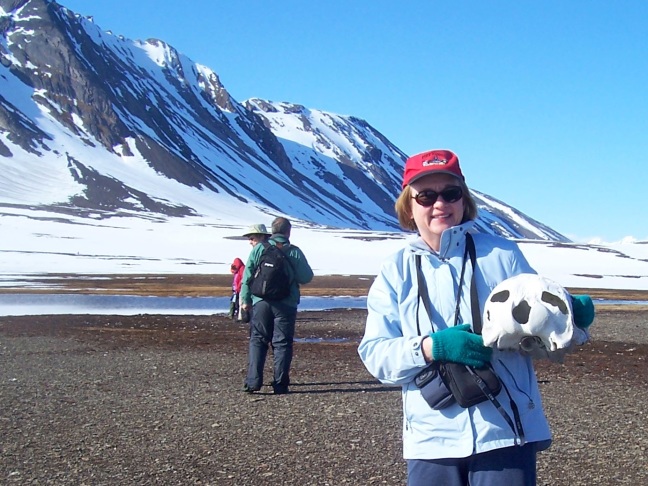 S, in Helsinki hat, grapples the skull of a beluga whale