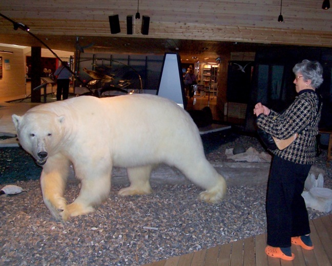 The Svalbard Museum required us to remove our shoes, but lent us Crocs