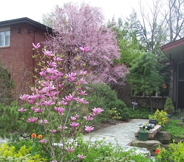 Susan's garden in Pittsburgh