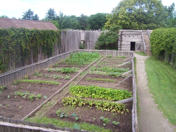 Vegetable gardens at Sainte-Marie Among the Hurons