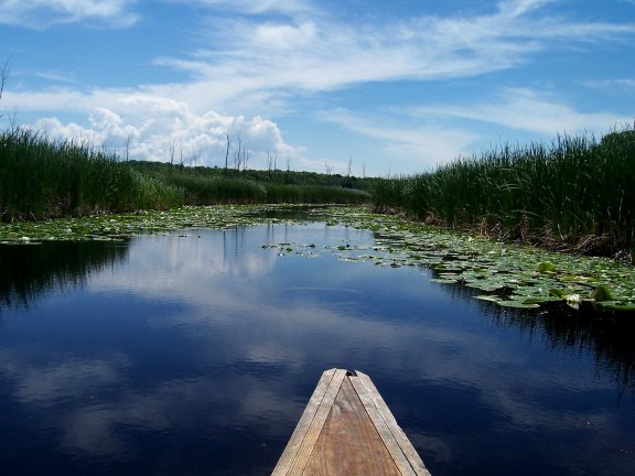 Punting on the waters near Sainte-Marie Among the Hurons