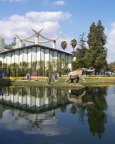  La Brea Tar Pits