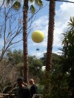  The balloon ride is visible from just about everywhere in the park