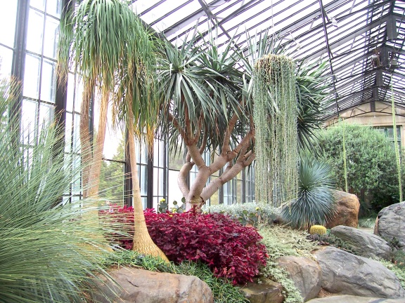  In the Conservatory at Longwood