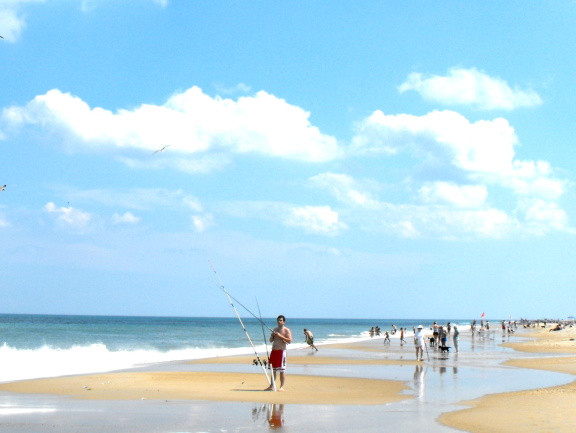  Fenwick Island State Park