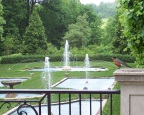  A robin surveys the Italian Water Garden at Longwood Gardens