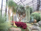  In the Conservatory at Longwood 
