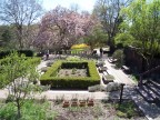 The Elizabethan herb garden