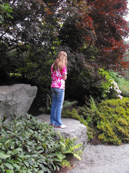  Shy sister surveys the brush in Bellevue Botanical Garden