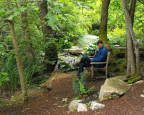  Contemplating the Bellevue Botanical Garden