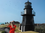  A few of Fort Jefferson&s myriad Frigate Birds soar over its Harbor Light lighthouse, Dry Tortuggas