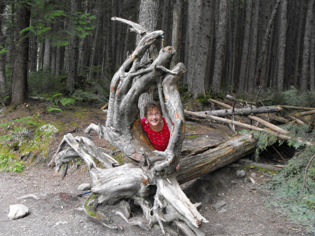  Susan peeks through flotsam in Glacier National Park