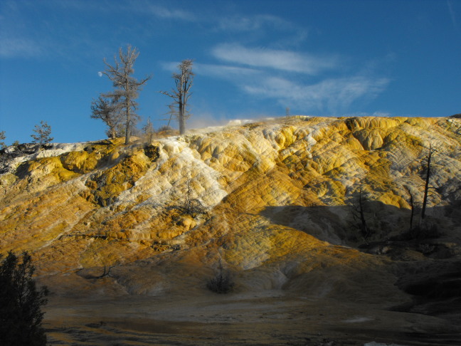 Mammoth Hot Springs, Yellowstone