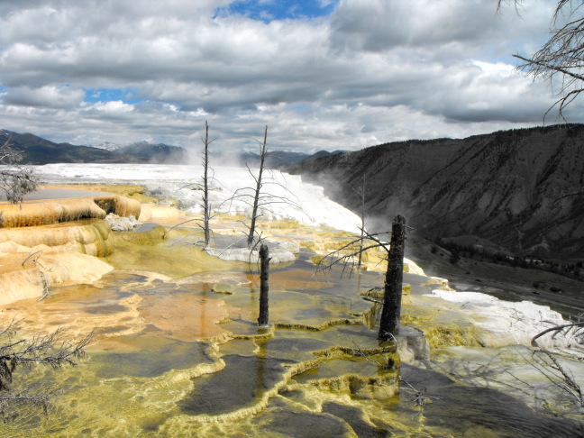  Mammoth Hot Springs, Yellowstone