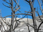  Moon over Mammoth Hot Springs, Yellowstone
