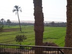  Outside the Carvery, on the way to Saqqara