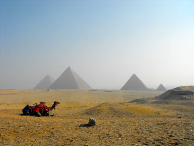  Two camels, four pyramids, and a rock