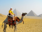  Me, a camel, and pyramids