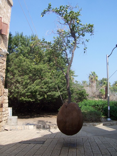  Jaffa orange tree / art, Jaffa