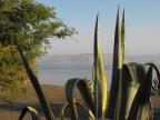  Sea of Galilee as seen from Capernum