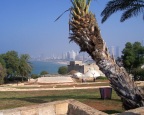  Tel Aviv shoreline as seen from Jaffa