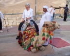  Jan astride a camel, at sea level on the way to the Dead Sea