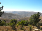  Terraced crops on the hills seen from Mount Nebo, Jordan