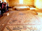  Ancient mosaic showing wine making, Madaba, Jordan