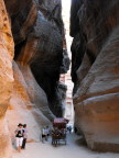 Once started uphill, horses cannot stop because they cannot start on the hill, Petra