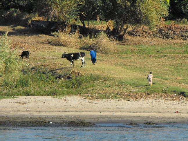  On shore between Edfu and Kom Ombo