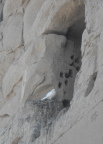  Nesting in Karnak Temple