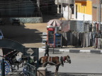  Walking past Coke and cloths, 11:03:36, Edfu