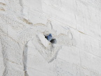  Bird inhabiting defaced figure in Philae Temple