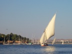 Felucca on the Nile