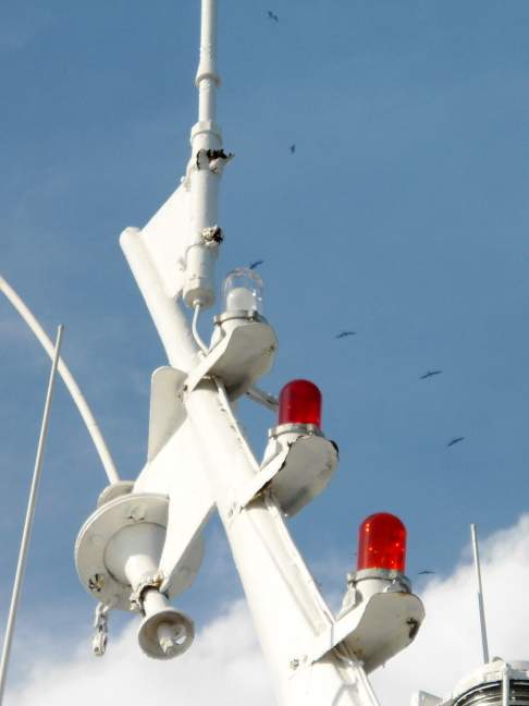  Frigate birds circle lights on our boat heading for the Panama Canal