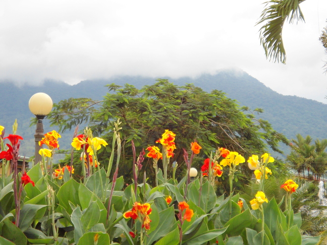  Flowers in La Fortuna central plaza, below Arenal volcano