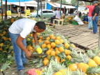  Best, ripest, sweetest pineapples at San Jose fruit market, Panama