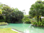  Swimming pool at Sarapiqui Lodge