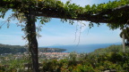  Ocean view from the olive, lemon, and cheese farm above Sorrento