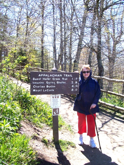  On the Appalachian Trail