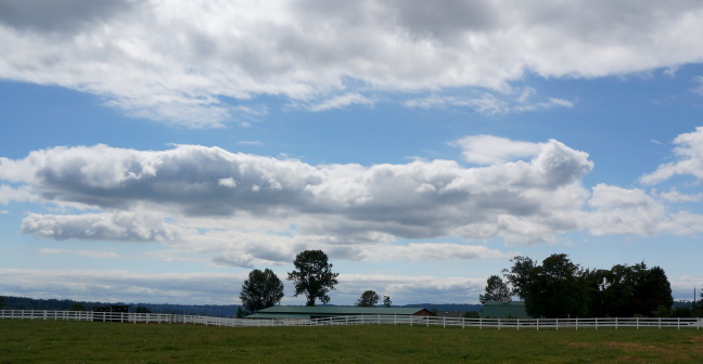  Clouds across the horse farm, Bithell WA