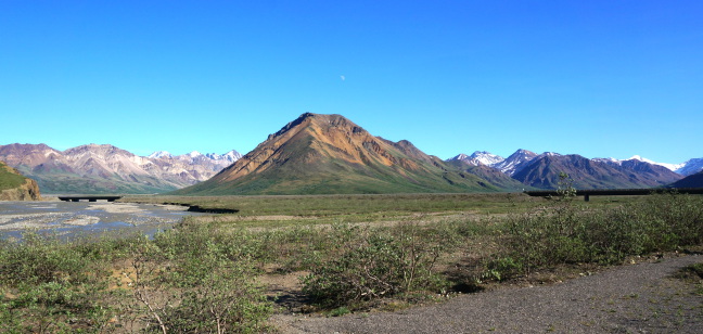  View from our tundra tour, Denali