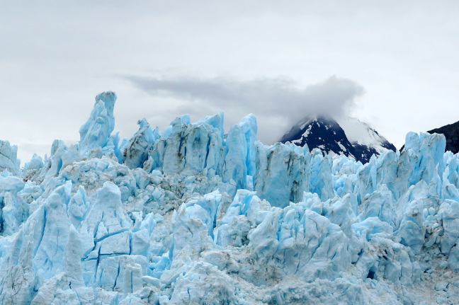  The sentinels of Margerie Glacier