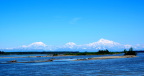  Knik Arm inlet is tidal (salt water) for 40 miles north of Anchorage; peaks from left to right are Foraker, Hunter, and Denali